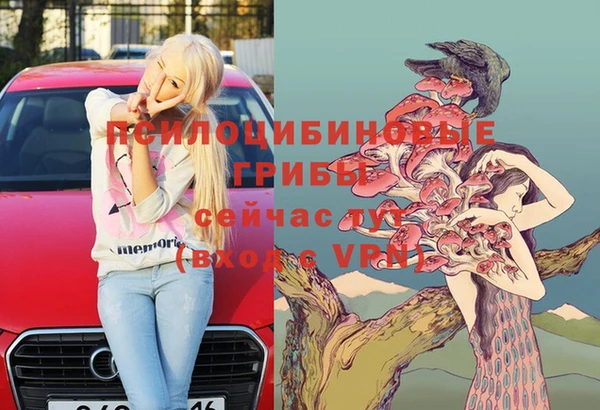 герыч Алексин