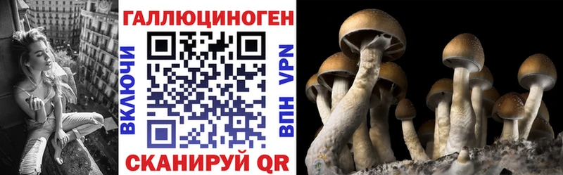 omg ONION  мориарти официальный сайт  Галлюциногенные грибы Psilocybe  Грязовец 